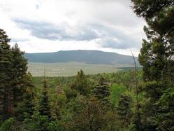 Hidden Lake Lot 62, Taos Pines Ranch